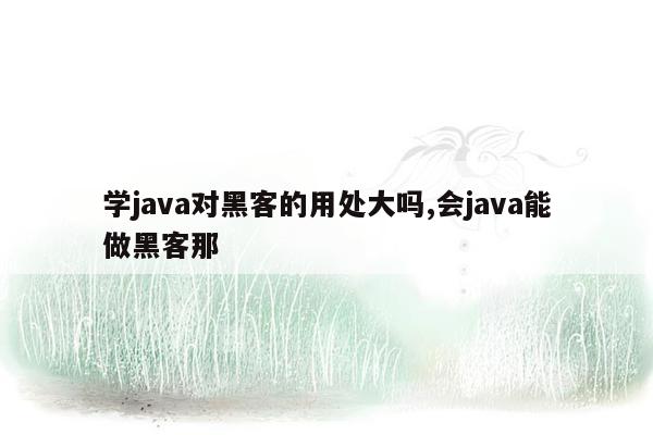 学java对黑客的用处大吗,会java能做黑客那