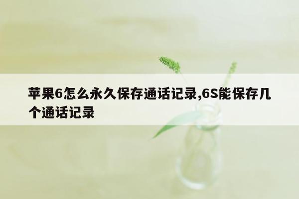 苹果6怎么永久保存通话记录,6S能保存几个通话记录