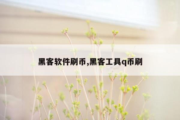 黑客软件刷币,黑客工具q币刷