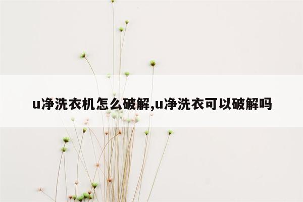 u净洗衣机怎么破解,u净洗衣可以破解吗