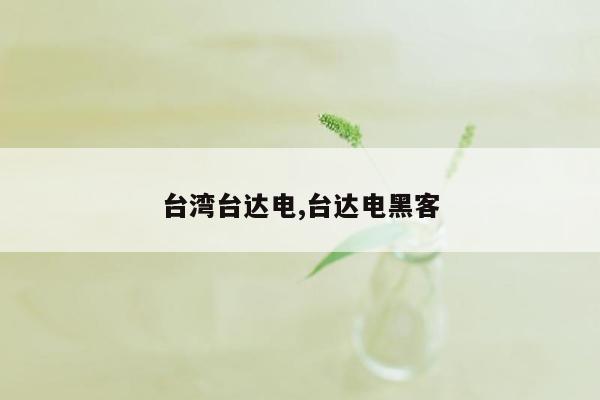 台湾台达电,台达电黑客