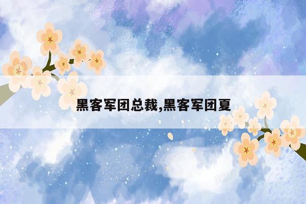 黑客军团总裁,黑客军团夏