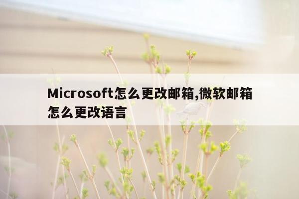 Microsoft怎么更改邮箱,微软邮箱怎么更改语言