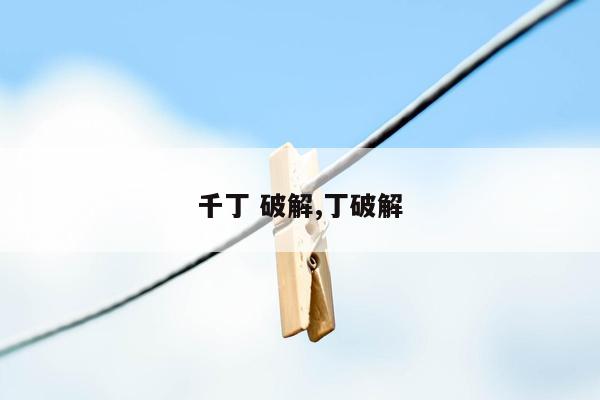 千丁 破解,丁破解