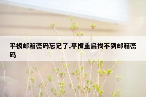 平板邮箱密码忘记了,平板重启找不到邮箱密码