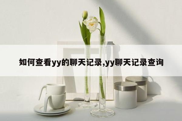 如何查看yy的聊天记录,yy聊天记录查询