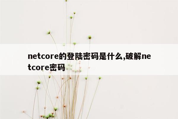netcore的登陆密码是什么,破解netcore密码