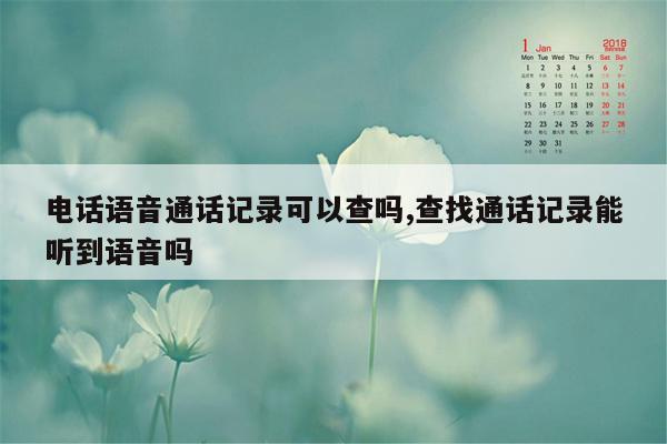 电话语音通话记录可以查吗,查找通话记录能听到语音吗