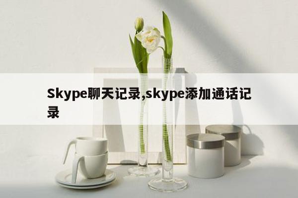 Skype聊天记录,skype添加通话记录