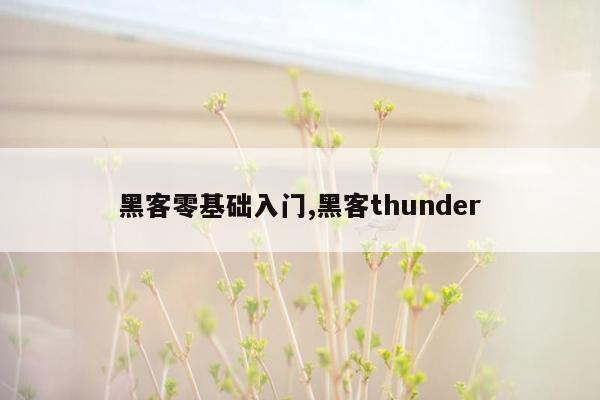 黑客零基础入门,黑客thunder