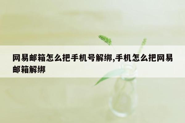 网易邮箱怎么把手机号解绑,手机怎么把网易邮箱解绑