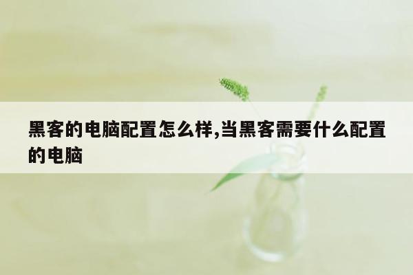 黑客的电脑配置怎么样,当黑客需要什么配置的电脑