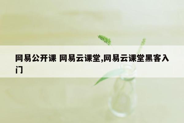 网易公开课 网易云课堂,网易云课堂黑客入门