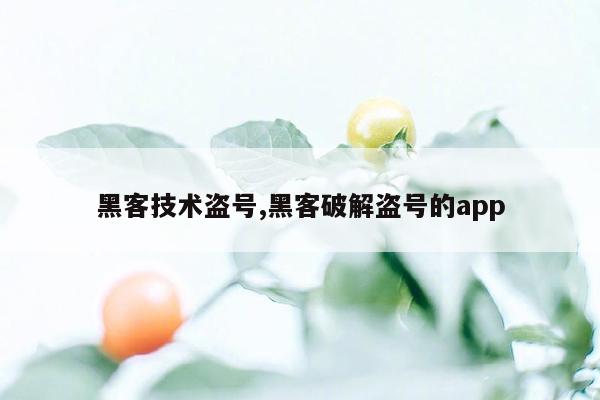 黑客技术盗号,黑客破解盗号的app