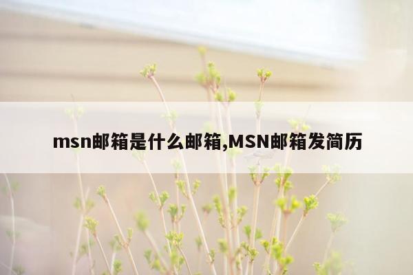 msn邮箱是什么邮箱,MSN邮箱发简历