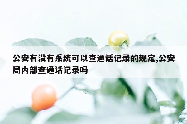 公安有没有系统可以查通话记录的规定,公安局内部查通话记录吗