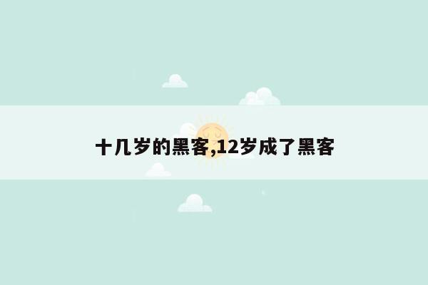 十几岁的黑客,12岁成了黑客