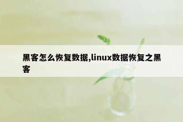 黑客怎么恢复数据,linux数据恢复之黑客