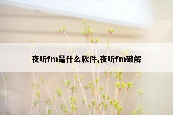 夜听fm是什么软件,夜听fm破解