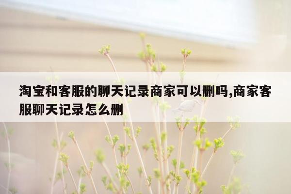 淘宝和客服的聊天记录商家可以删吗,商家客服聊天记录怎么删