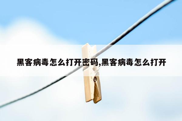 黑客病毒怎么打开密码,黑客病毒怎么打开