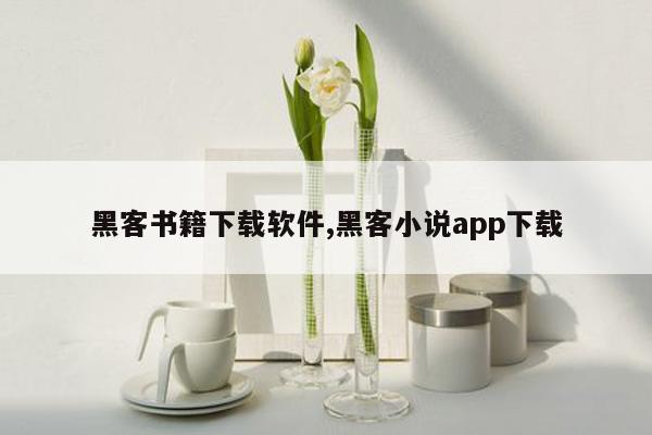 黑客书籍下载软件,黑客小说app下载