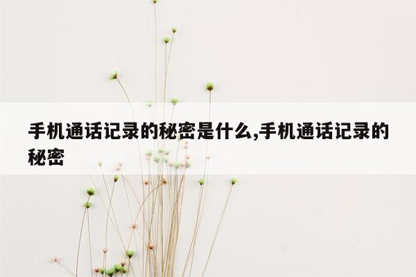 手机通话记录的秘密是什么,手机通话记录的秘密