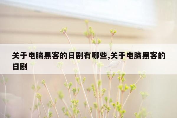 关于电脑黑客的日剧有哪些,关于电脑黑客的日剧