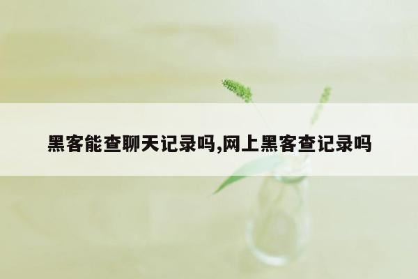 黑客能查聊天记录吗,网上黑客查记录吗