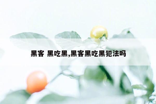 黑客 黑吃黑,黑客黑吃黑犯法吗