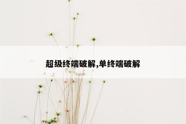 超级终端破解,单终端破解