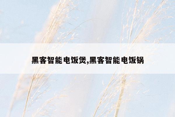 黑客智能电饭煲,黑客智能电饭锅