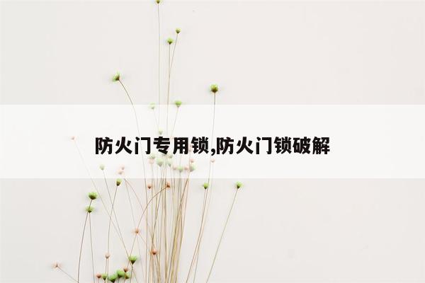 防火门专用锁,防火门锁破解