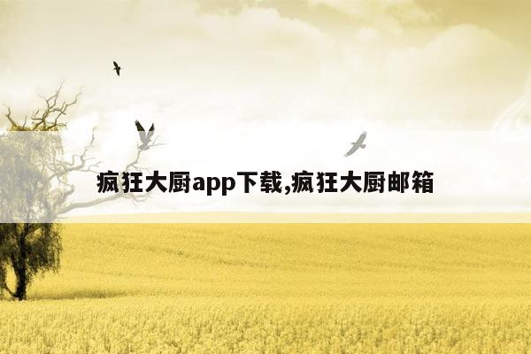 疯狂大厨app下载,疯狂大厨邮箱