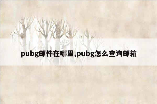 pubg邮件在哪里,pubg怎么查询邮箱