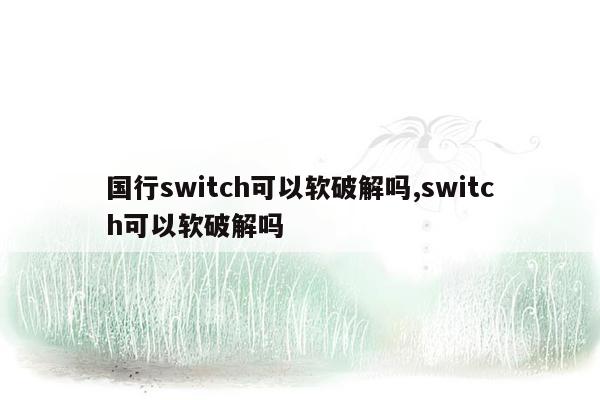 国行switch可以软破解吗,switch可以软破解吗