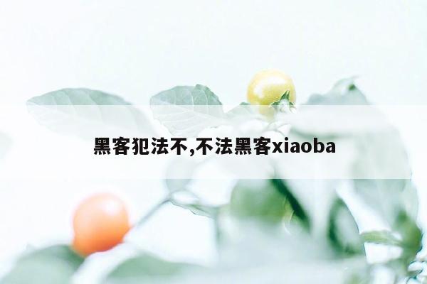 黑客犯法不,不法黑客xiaoba