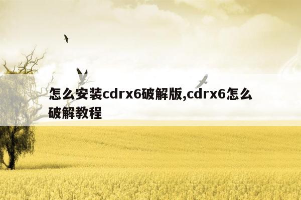 怎么安装cdrx6破解版,cdrx6怎么破解教程