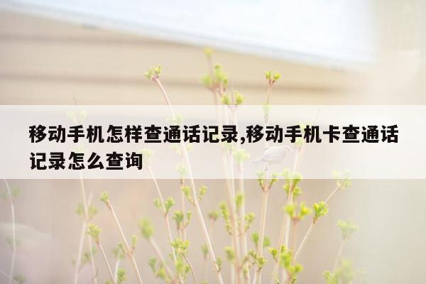 移动手机怎样查通话记录,移动手机卡查通话记录怎么查询