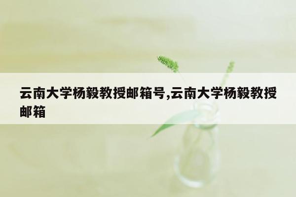 云南大学杨毅教授邮箱号,云南大学杨毅教授邮箱