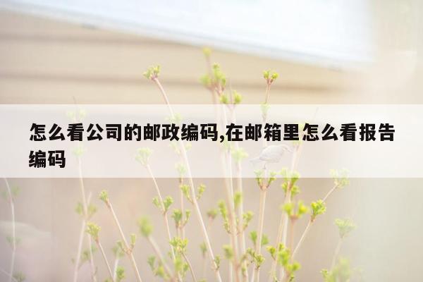 怎么看公司的邮政编码,在邮箱里怎么看报告编码