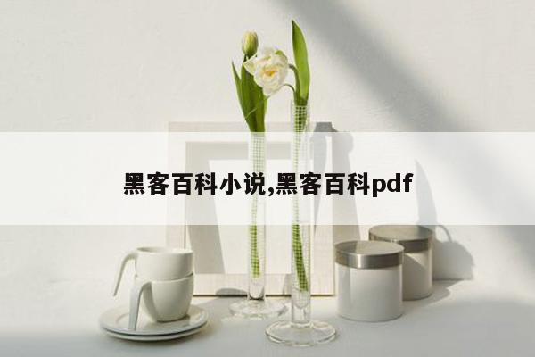黑客百科小说,黑客百科pdf