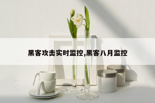 黑客攻击实时监控,黑客八月监控