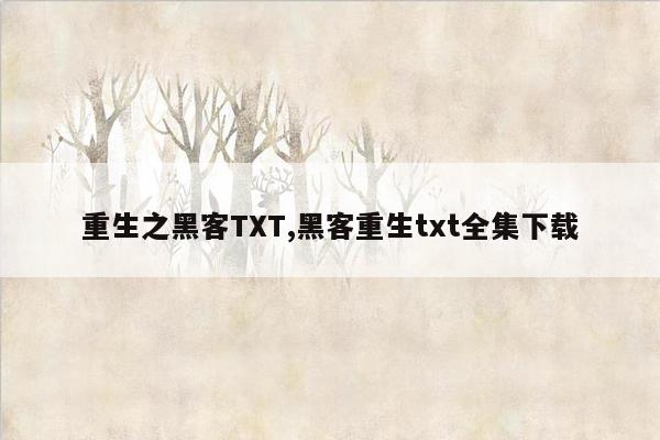 重生之黑客TXT,黑客重生txt全集下载