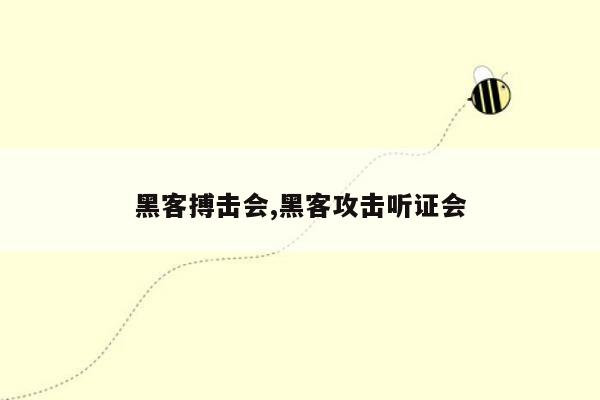 黑客搏击会,黑客攻击听证会