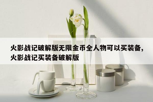 火影战记破解版无限金币全人物可以买装备,火影战记买装备破解版