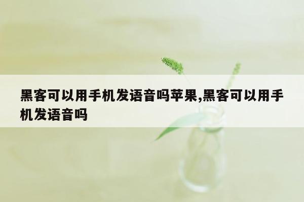 黑客可以用手机发语音吗苹果,黑客可以用手机发语音吗