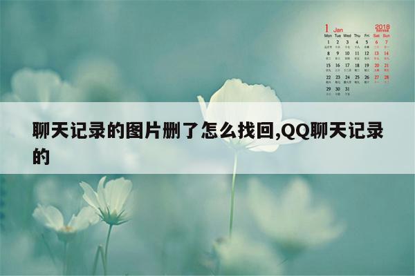 聊天记录的图片删了怎么找回,QQ聊天记录的