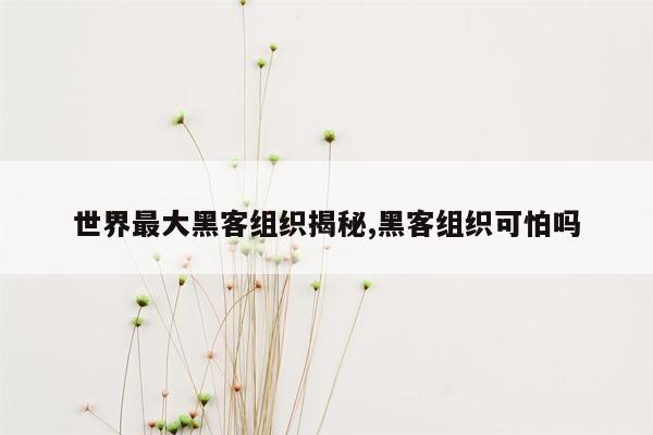 世界最大黑客组织揭秘,黑客组织可怕吗