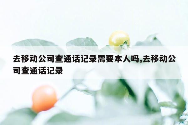 去移动公司查通话记录需要本人吗,去移动公司查通话记录